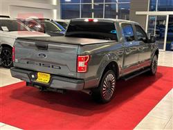 فۆرد F-150